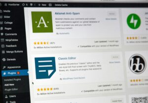 Beyond Blogs: Using WordPress as a Platform for Business Portals