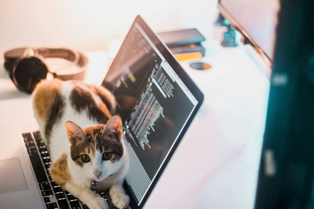 Από το Vibe Coding στο Agentic Development: Ο Κώδικας στην Εποχή της Ροής και των Agents
